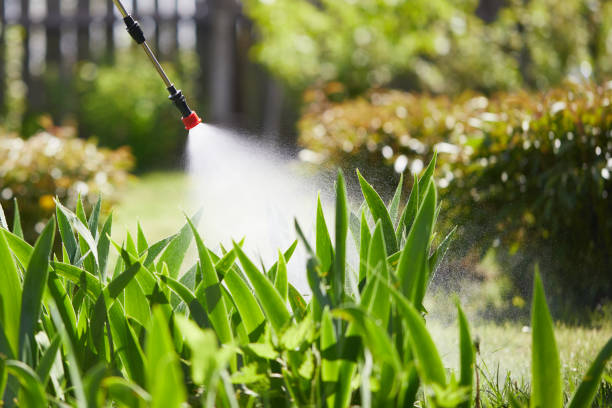 24/7 Emergency Mosquito Control experts in Cleveland Heights, OH